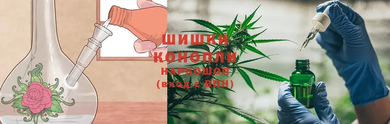 продажа наркотиков  Георгиевск  Канабис White Widow 